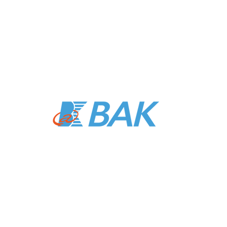 BAK Power