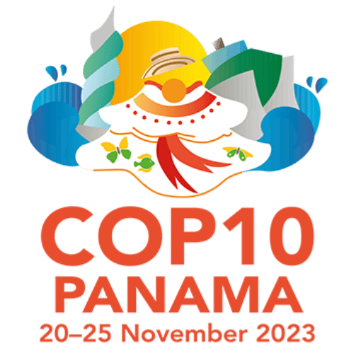 Conference of the Parties (COP10)