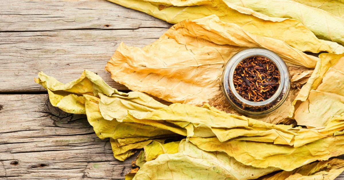 The Best Tobacco E-Liquids in 2026