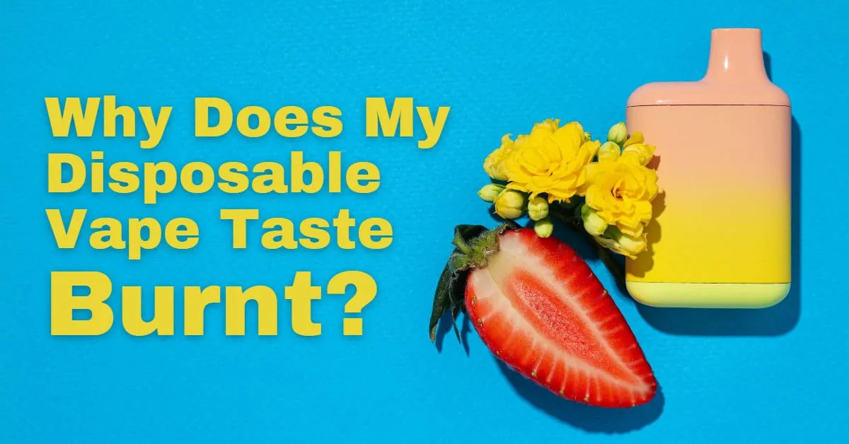 vape tastes burnt disposable Why Does My Taste Burnt? 4 Causes & Solutions for Disposable Vapes HHC Vape Pens Color:Frost Hidden Hills Club x