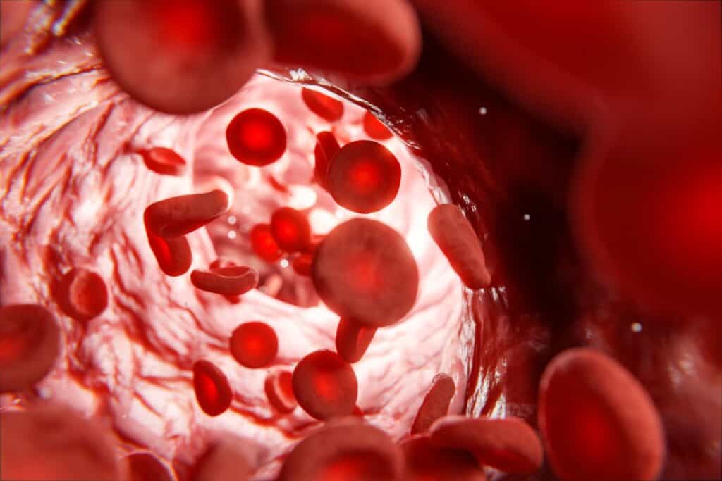 Microscopic view of red blood cells in a vein showing rapid nicotine absorption from nic salt vaping.