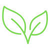 Green line art illustration of two leaves, representing natural organic e-liquid ingredients.