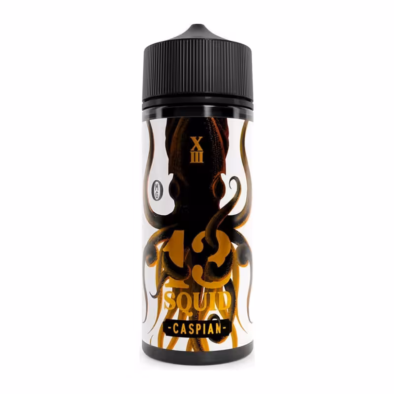 Caspian Shortfill E-Liquid by 13 Squid 100ml